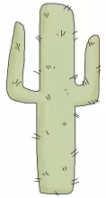 Cactus jpg