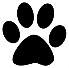 Cat print png