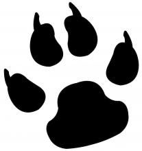 Dog print jpg