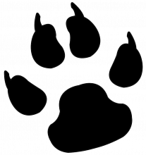 Dog print png