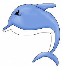 Dolphin png