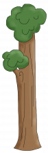 Tree png