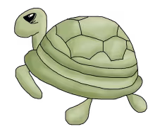 Turtle png