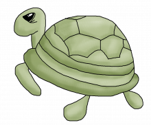 Turtle png